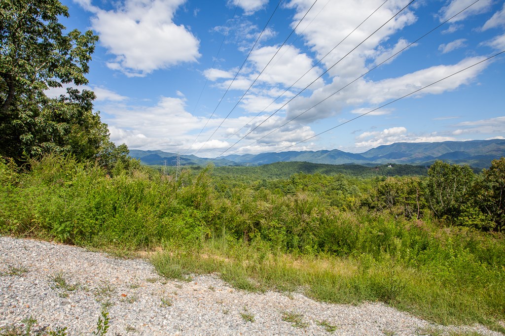 00 Cliff Top Trail, ANDREWS, North Carolina image 25