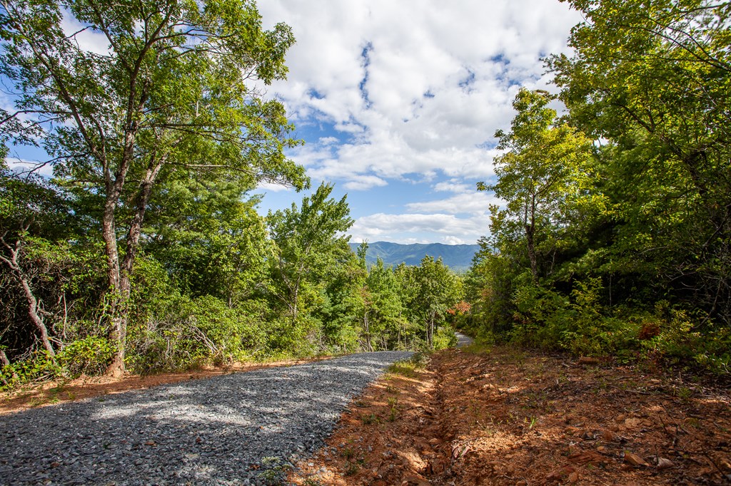 00 Cliff Top Trail, ANDREWS, North Carolina image 15