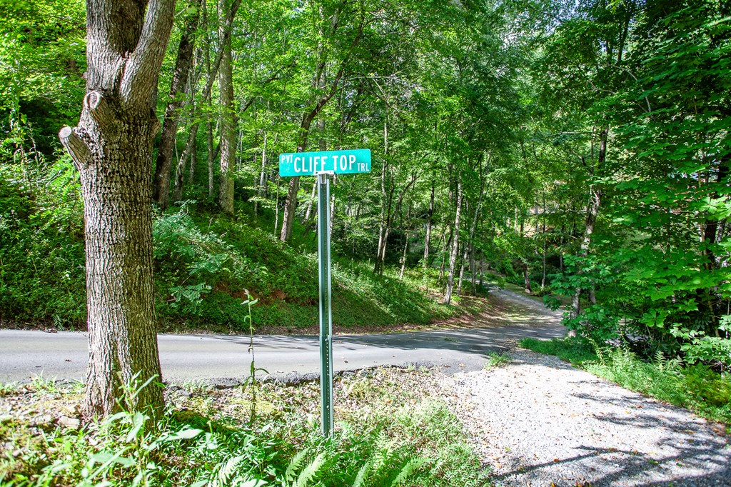 00 Cliff Top Trail, ANDREWS, North Carolina image 26