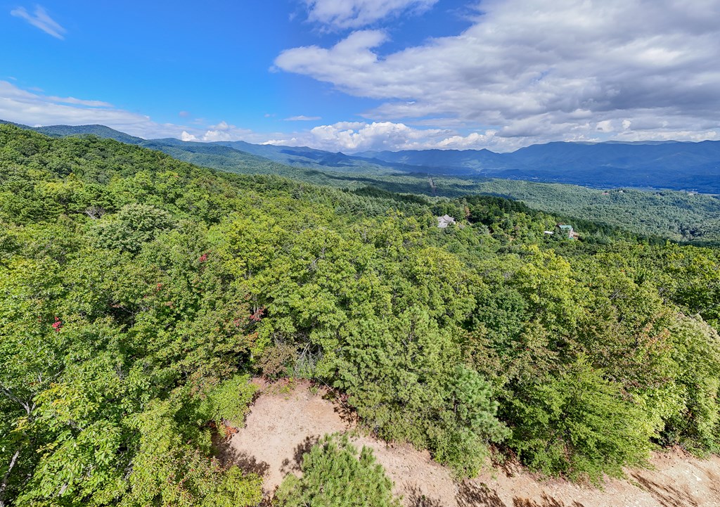 00 Cliff Top Trail, ANDREWS, North Carolina image 4