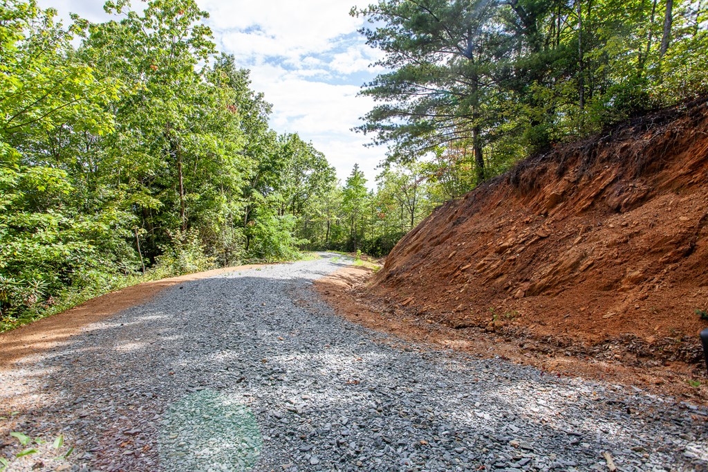 00 Cliff Top Trail, ANDREWS, North Carolina image 2