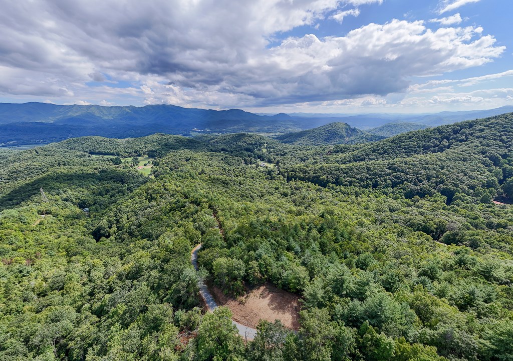 00 Cliff Top Trail, ANDREWS, North Carolina image 10