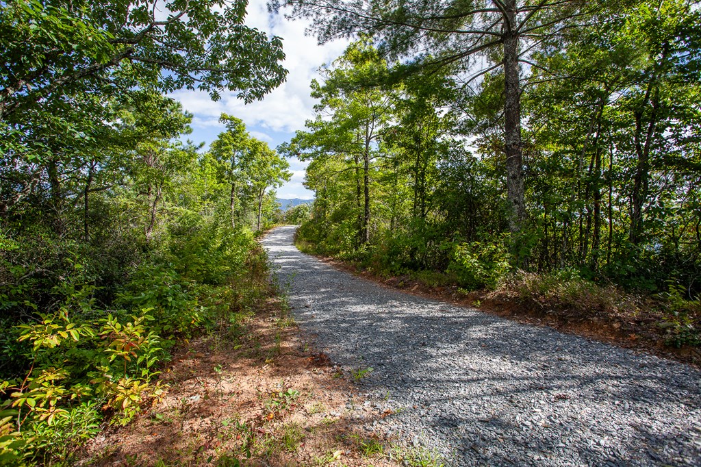 00 Cliff Top Trail, ANDREWS, North Carolina image 24