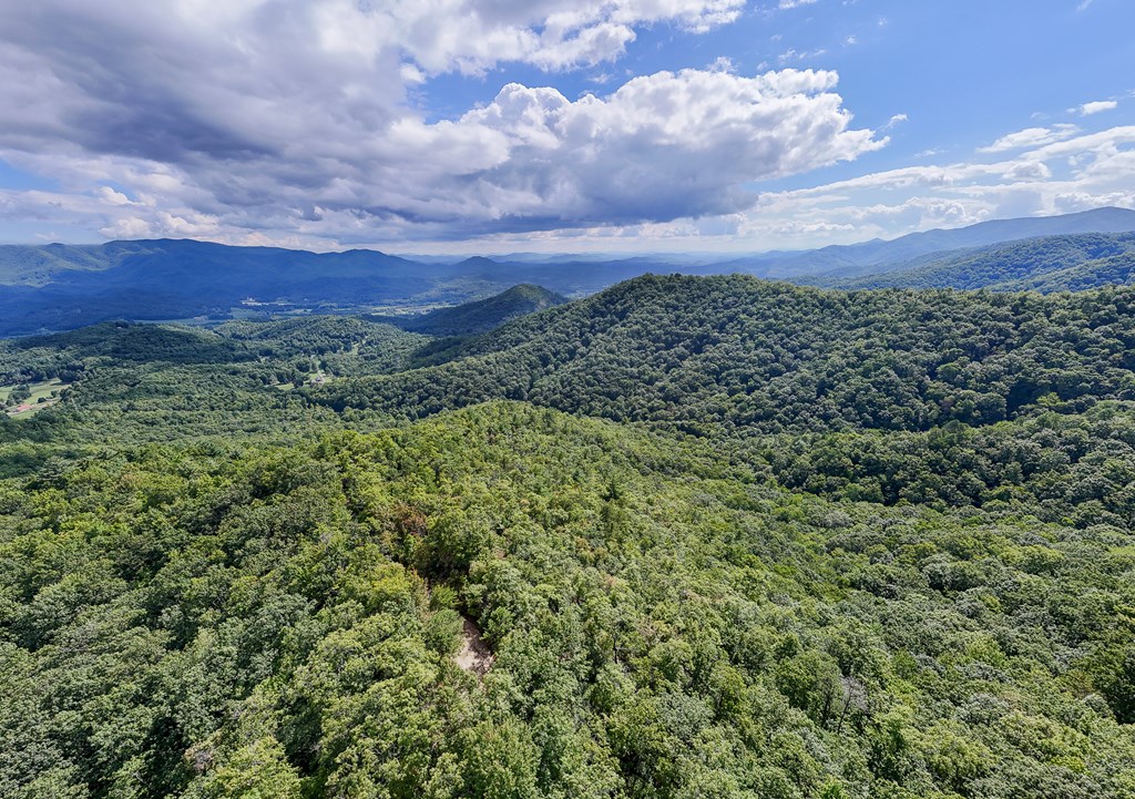 00 Cliff Top Trail, ANDREWS, North Carolina image 6