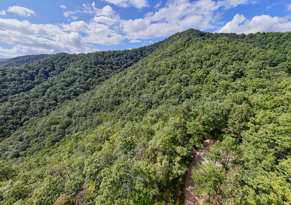 00 Cliff Top Trail, ANDREWS, North Carolina image 5