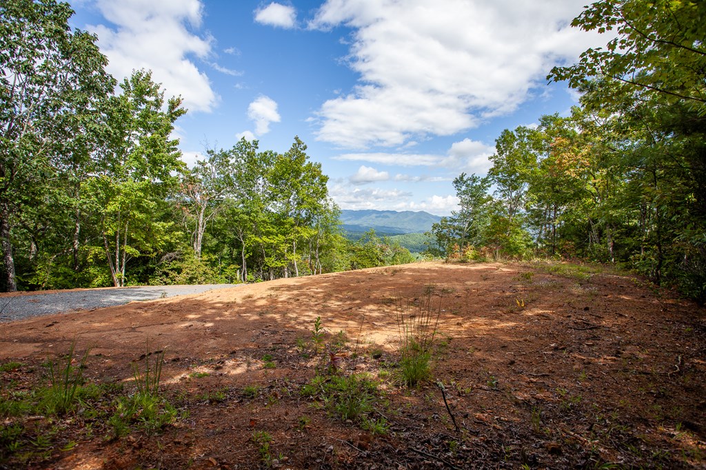 00 Cliff Top Trail, ANDREWS, North Carolina image 19