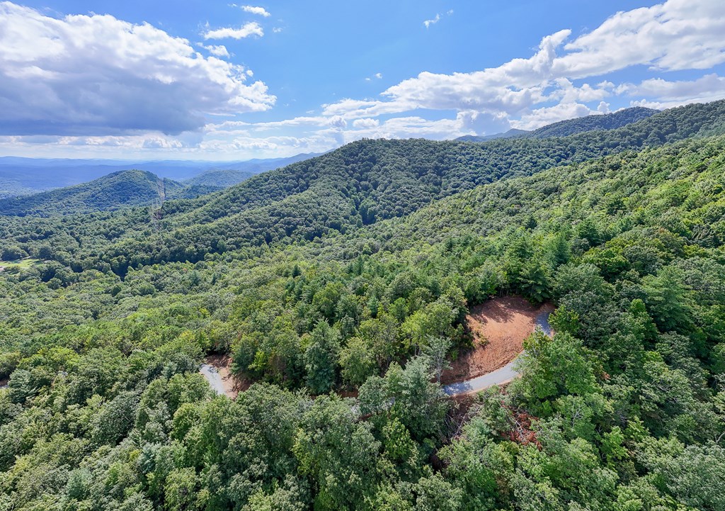 00 Cliff Top Trail, ANDREWS, North Carolina image 11