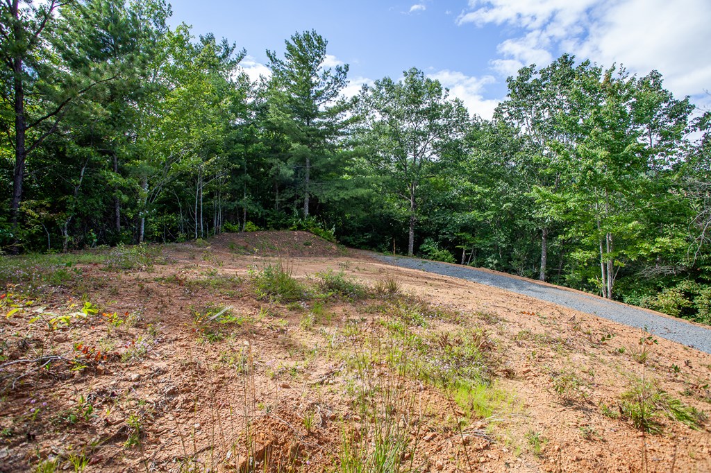 00 Cliff Top Trail, ANDREWS, North Carolina image 20