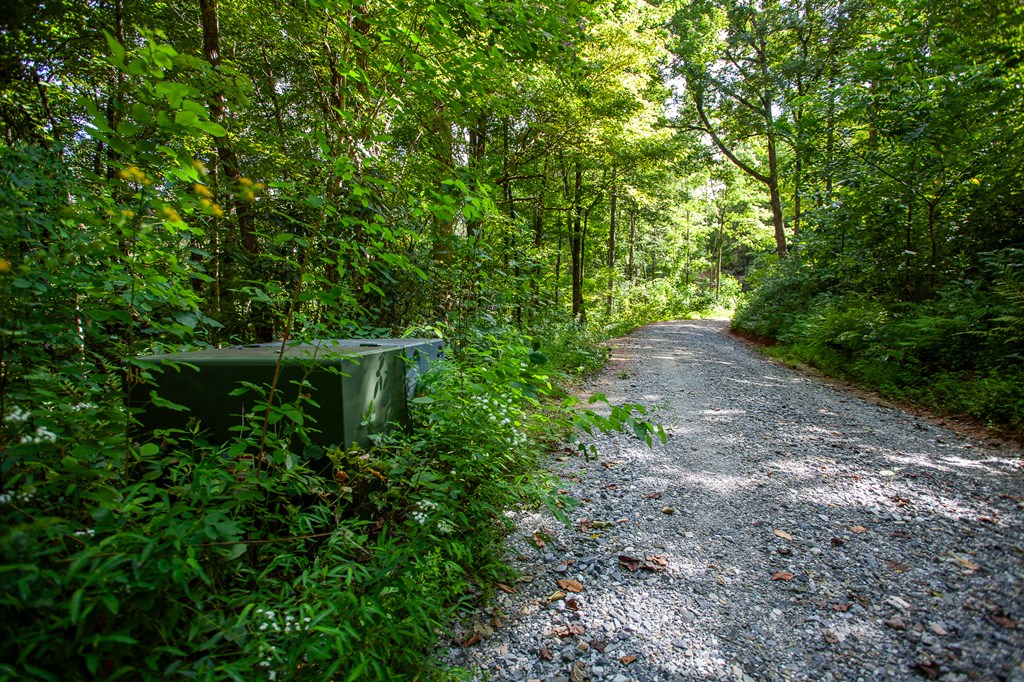 00 Cliff Top Trail, ANDREWS, North Carolina image 27