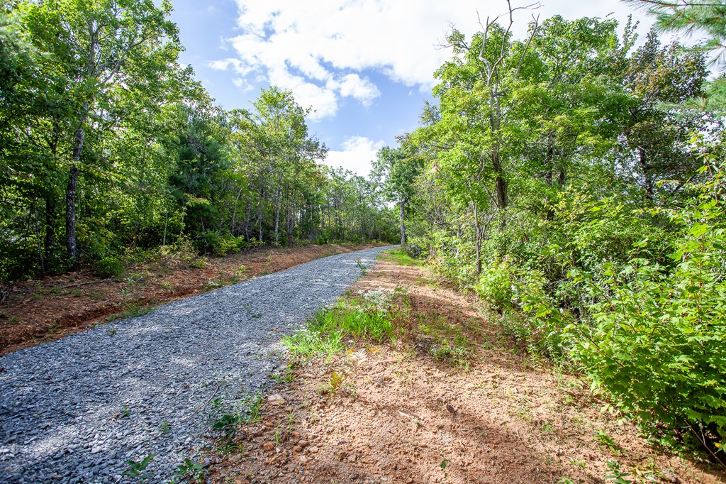 00 Cliff Top Trail, ANDREWS, North Carolina image 16