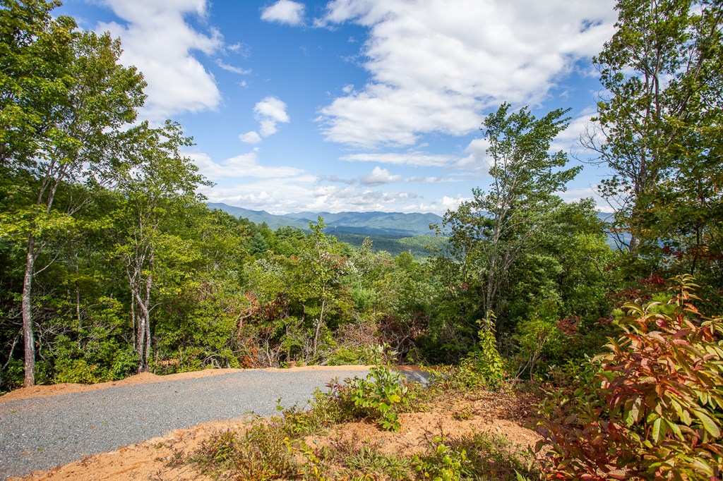 00 Cliff Top Trail, ANDREWS, North Carolina image 14