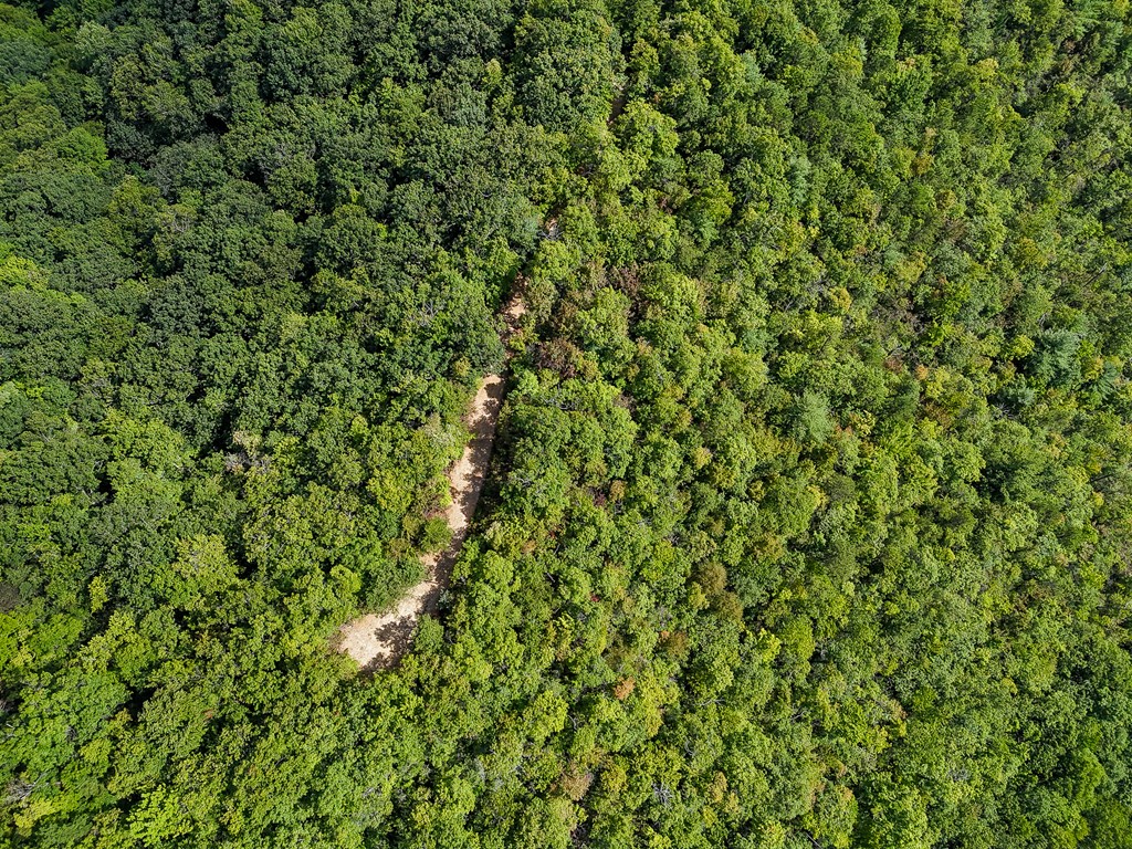 00 Cliff Top Trail, ANDREWS, North Carolina image 7