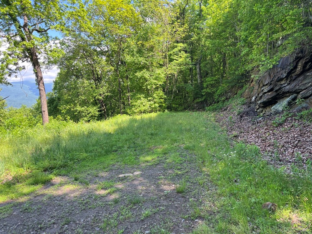 Lot 34 Wolf Knob Summit #34, MURPHY, North Carolina image 9