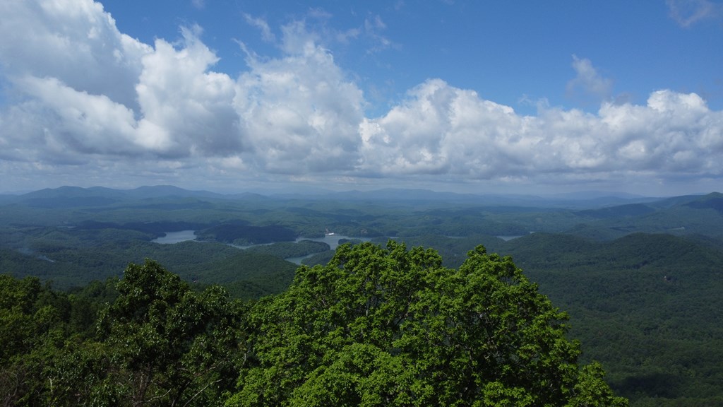 Lot 34 Wolf Knob Summit #34, MURPHY, North Carolina image 4
