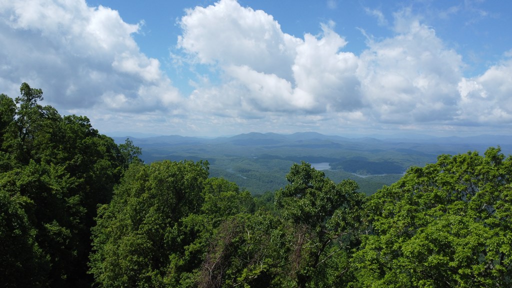 Lot 34 Wolf Knob Summit #34, MURPHY, North Carolina image 5