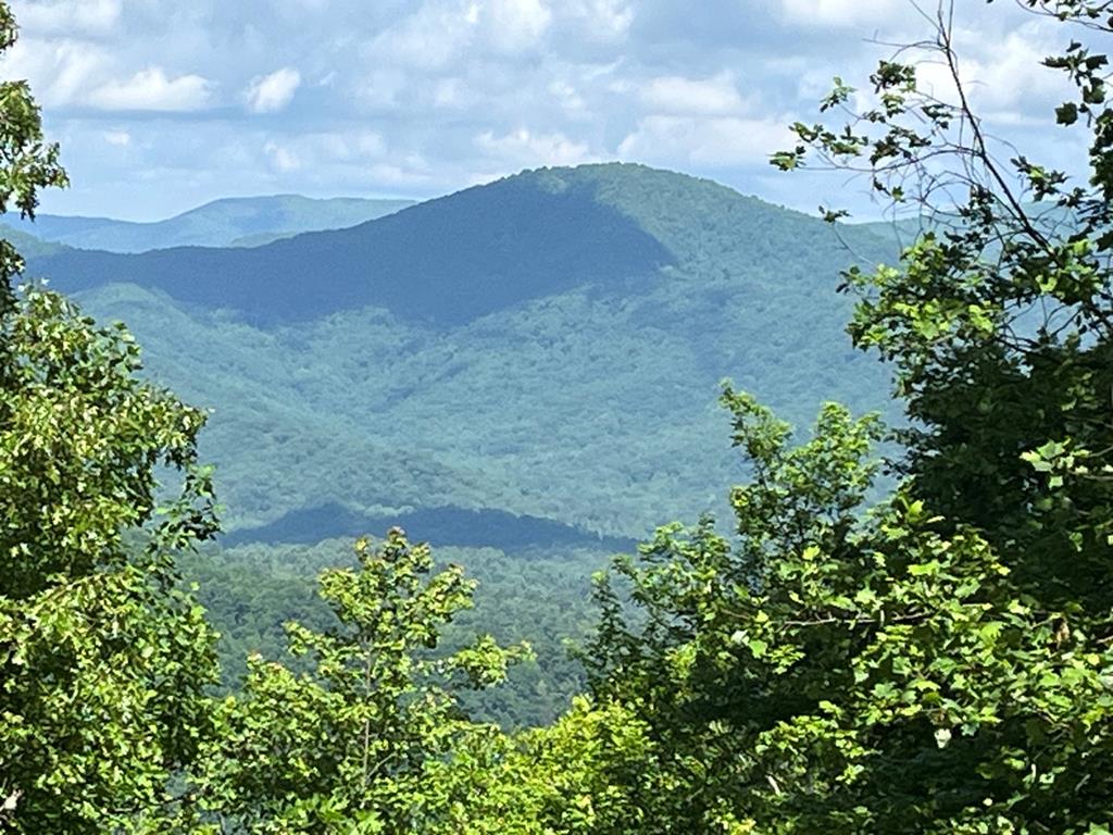 Lot 34 Wolf Knob Summit #34, MURPHY, North Carolina image 1