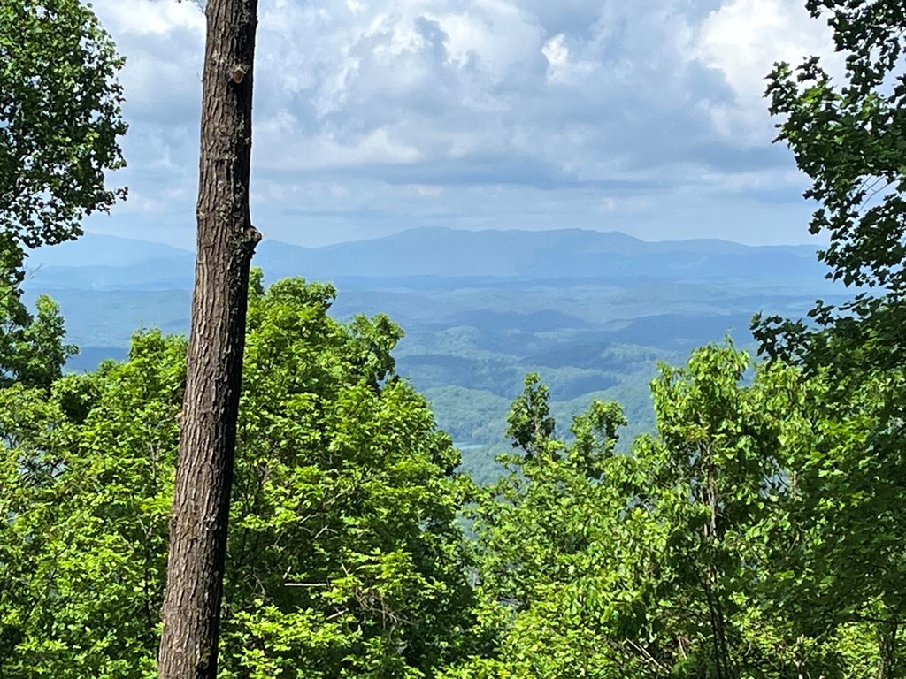 Lot 34 Wolf Knob Summit #34, MURPHY, North Carolina image 10