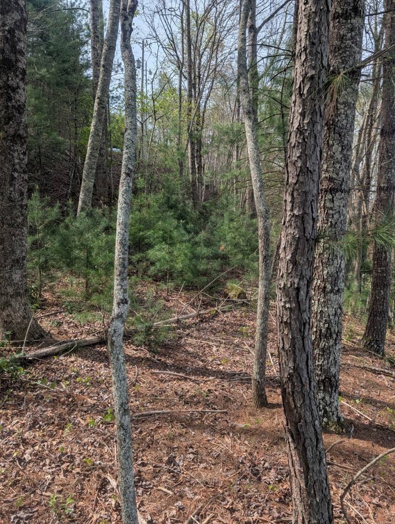 Lt 7A Lake Appalachia Acres Dr
