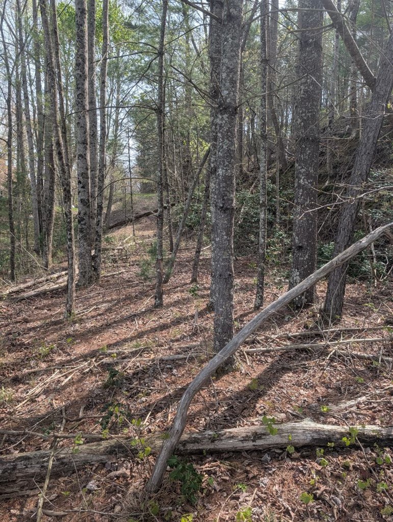 Lt 7A Lake Appalachia Acres Dr