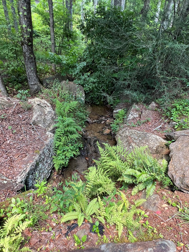 LOT 32 Mission Ridge - Photo 3