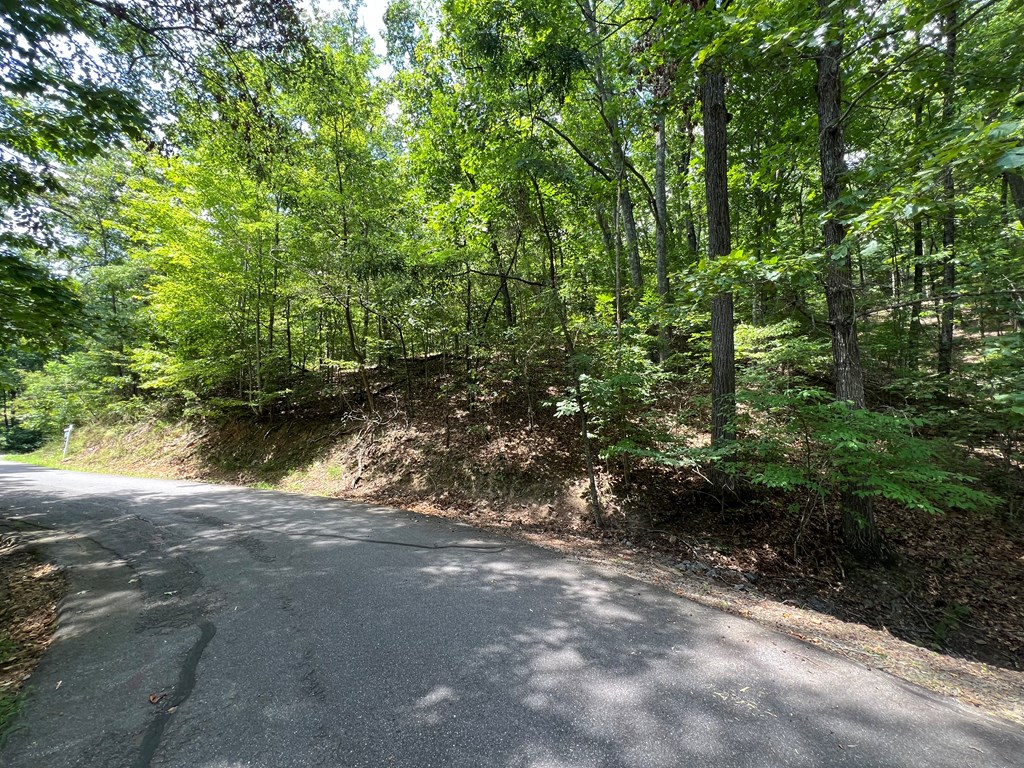 LOT 32 Mission Ridge - Photo 4