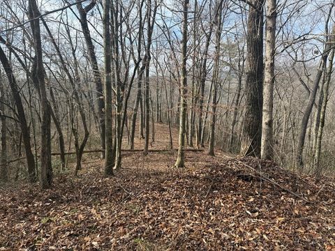 Vacant Land For Sale - Smoky Mountain Ridge #1314<br/> MARBLE, NC 28905
