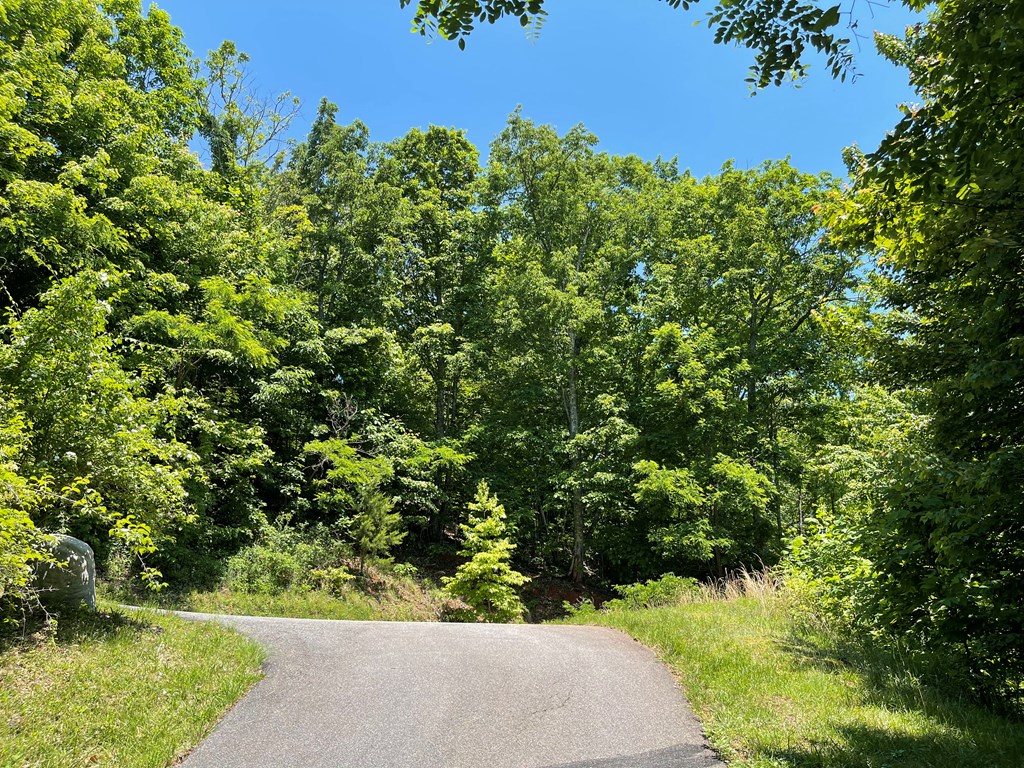 Lot 33B Grandview Drive #33B, HAYESVILLE, North Carolina image 4