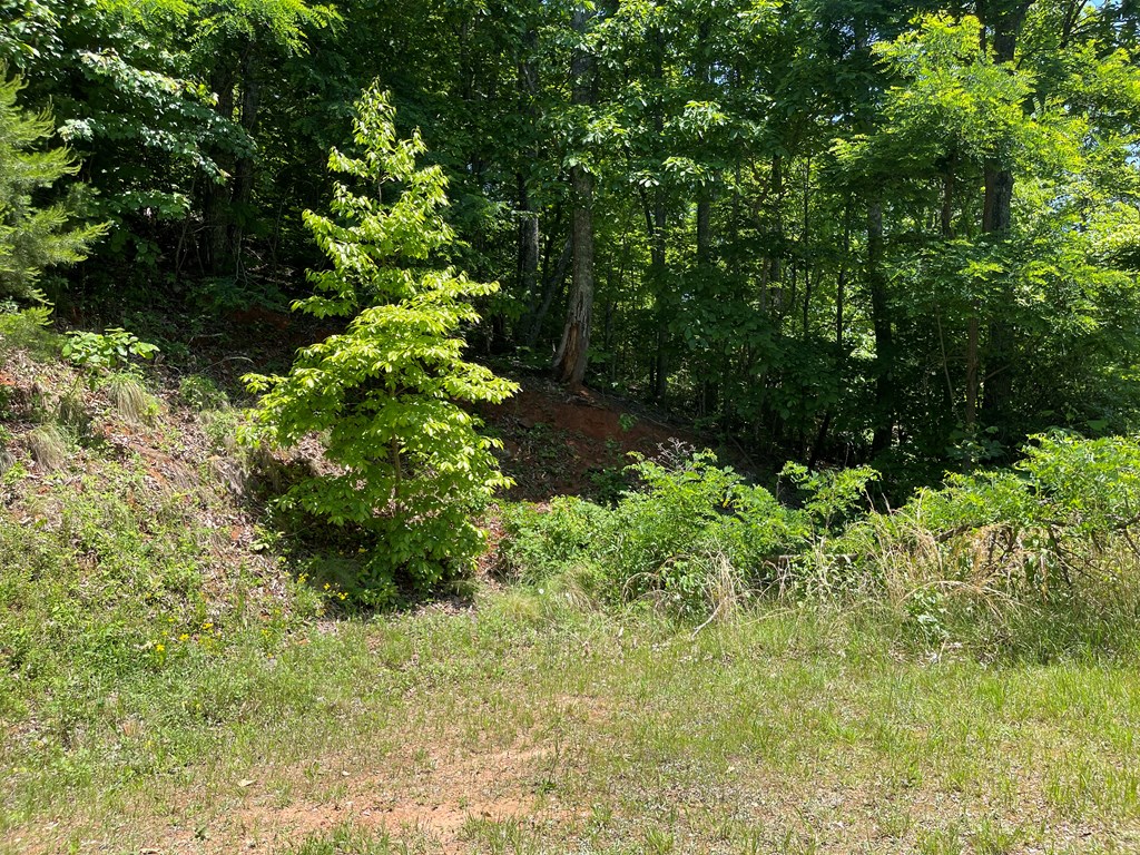 Lot 33B Grandview Drive #33B, HAYESVILLE, North Carolina image 5