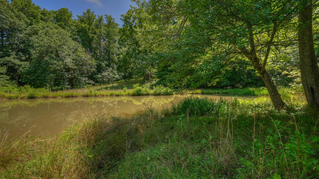 00 Crowe Rd, MURPHY, North Carolina image 7