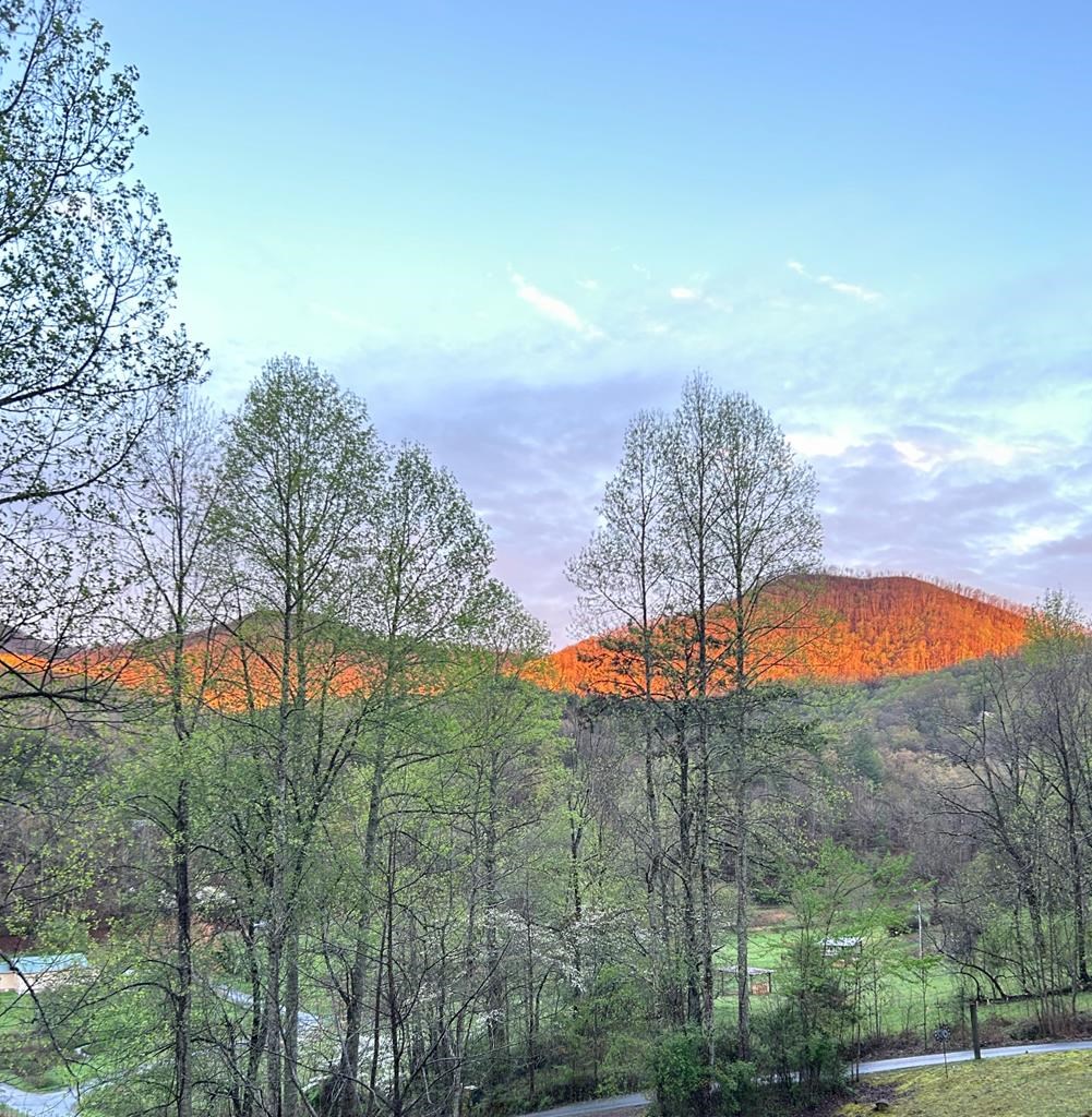 154 Anns Lane, HAYESVILLE, North Carolina image 3