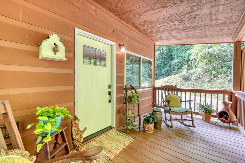 154 Anns Lane, HAYESVILLE, North Carolina image 39