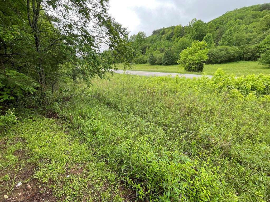 8236 Nc Hwy 294, MURPHY, North Carolina image 39