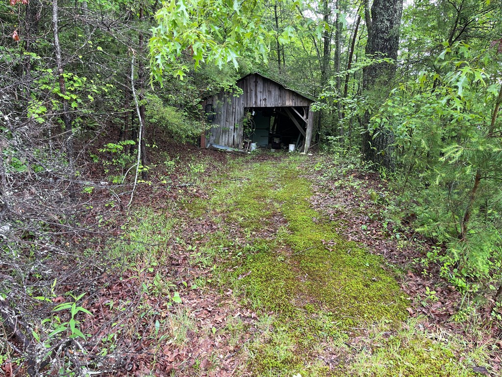 8236 Nc Hwy 294, MURPHY, North Carolina image 35