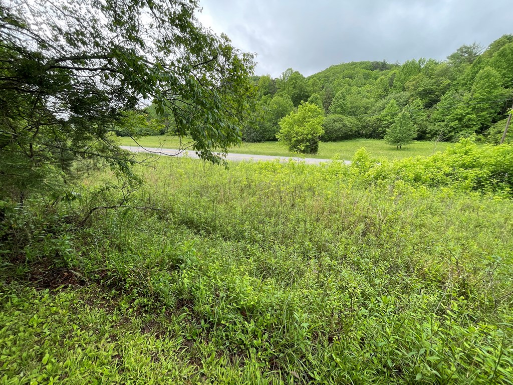 8236 Nc Hwy 294, MURPHY, North Carolina image 38