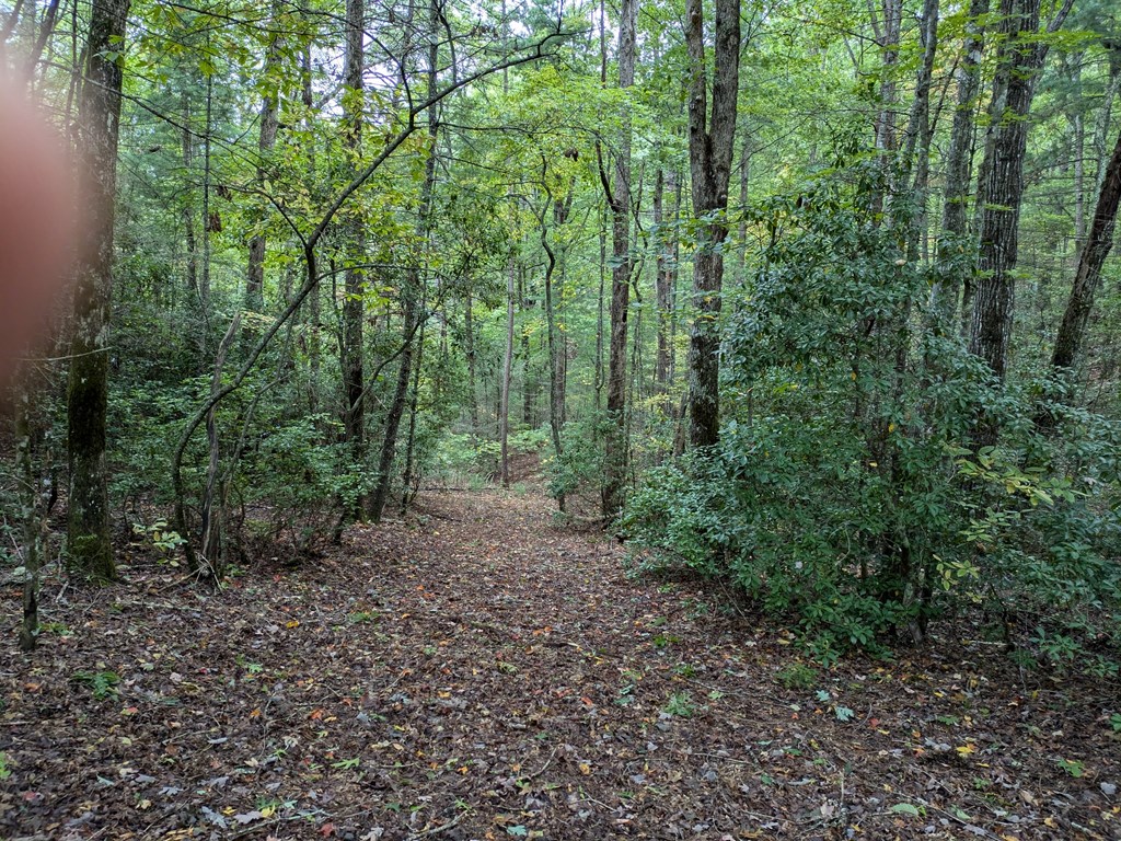 TBD Shoal Creek Rd, Hedden Stiles Rd, MURPHY, North Carolina image 8