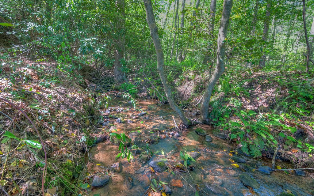 16100 Hwy Us-64 W, MURPHY, North Carolina image 9