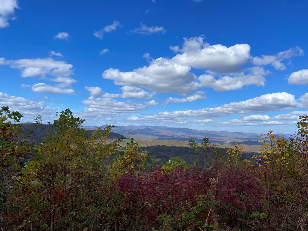 Brasstown Heights #2, BRASSTOWN, North Carolina image 6