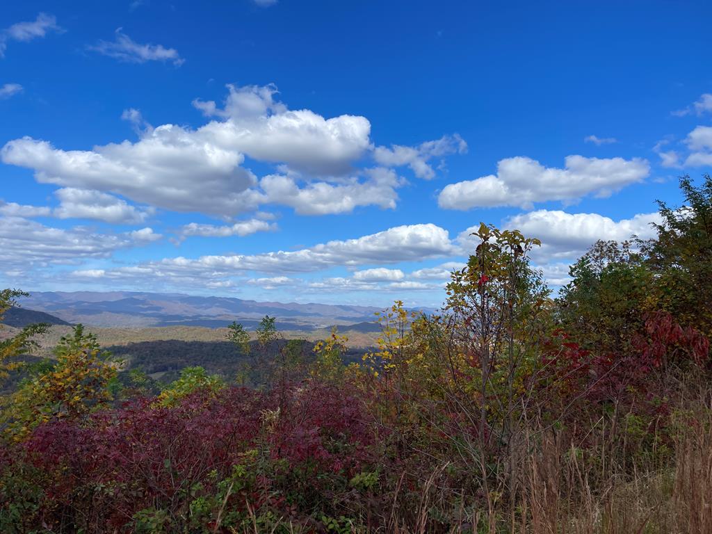 Brasstown Heights #2, BRASSTOWN, North Carolina image 1