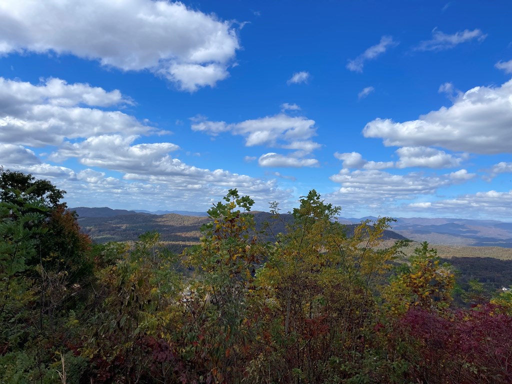 Brasstown Heights #2, BRASSTOWN, North Carolina image 7