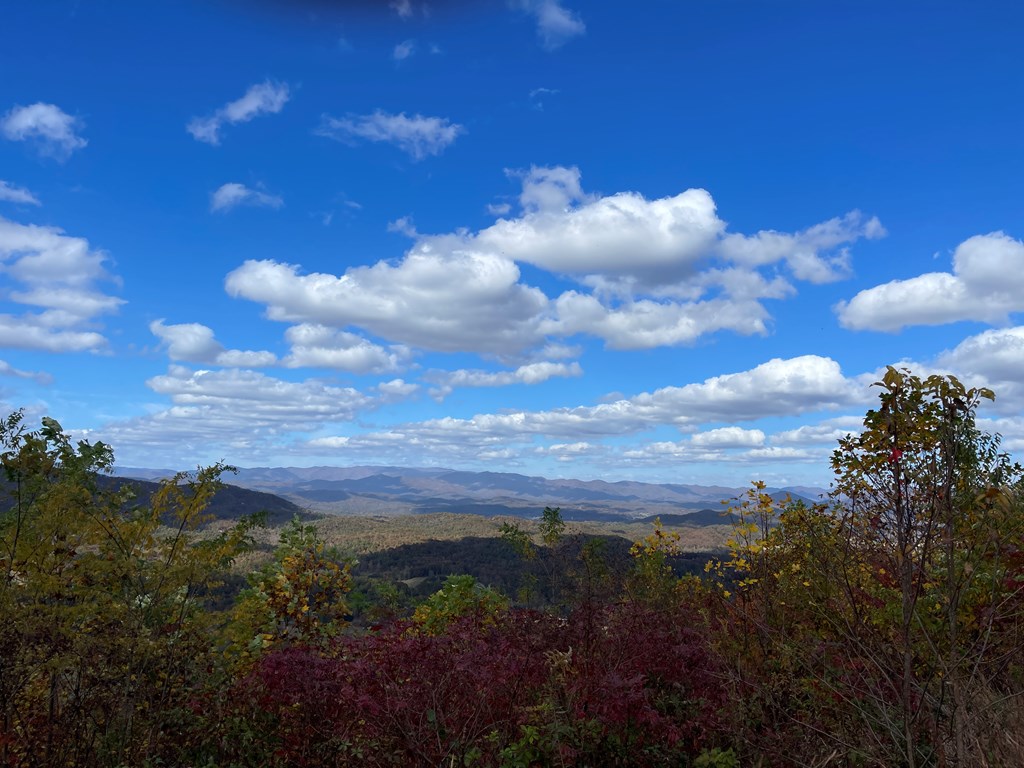 Brasstown Heights #2, BRASSTOWN, North Carolina image 3