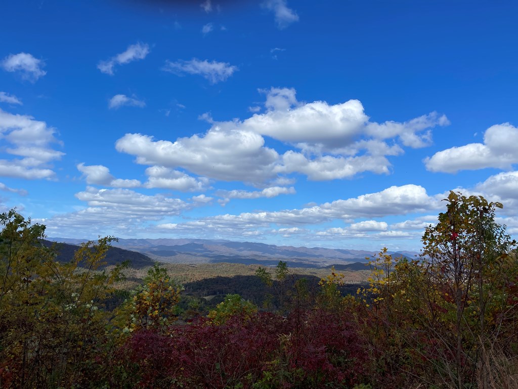 Brasstown Heights #2, BRASSTOWN, North Carolina image 2