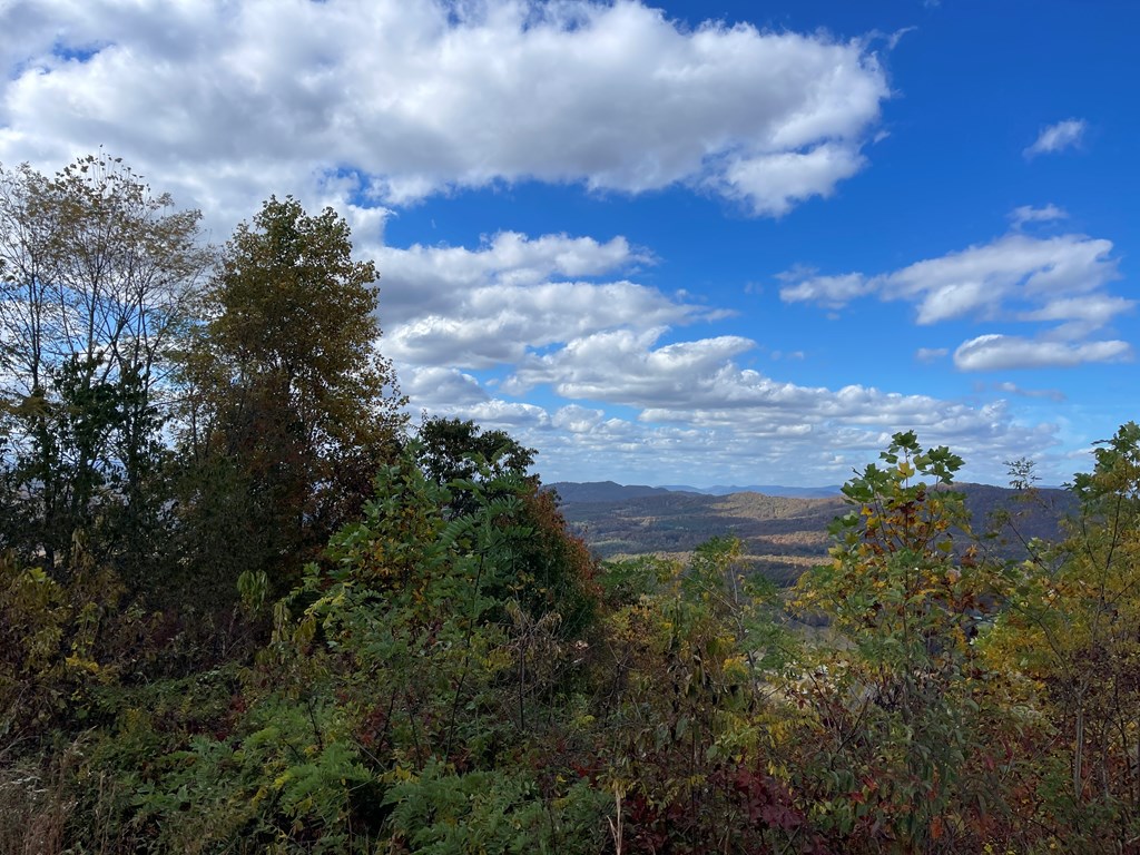 Brasstown Heights #2, BRASSTOWN, North Carolina image 8