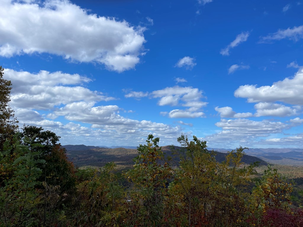 Brasstown Heights #2, BRASSTOWN, North Carolina image 4