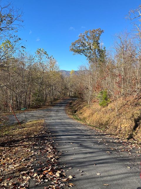 Vacant Land For Sale - 41 42 43 Ridges Overlook #41-43<br/> HAYESVILLE, NC 28904
