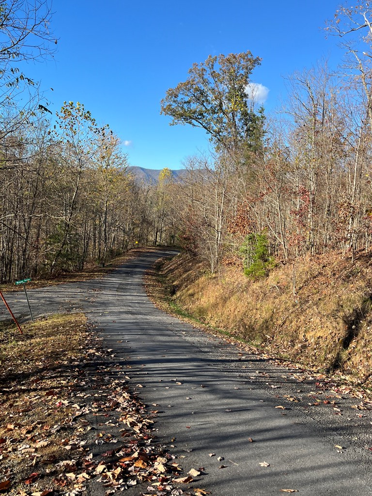 41 42 43 Ridges Overlook #41-43, HAYESVILLE, Texas image 6