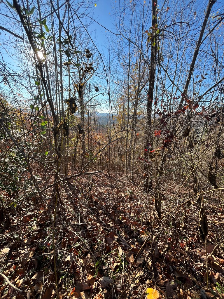 41 42 43 Ridges Overlook #41-43, HAYESVILLE, Texas image 9