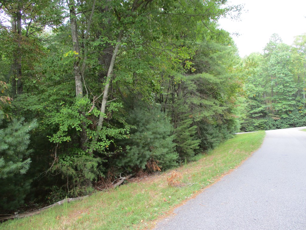 Lot 25 Byers Rd #25, BLAIRSVILLE, Georgia image 4