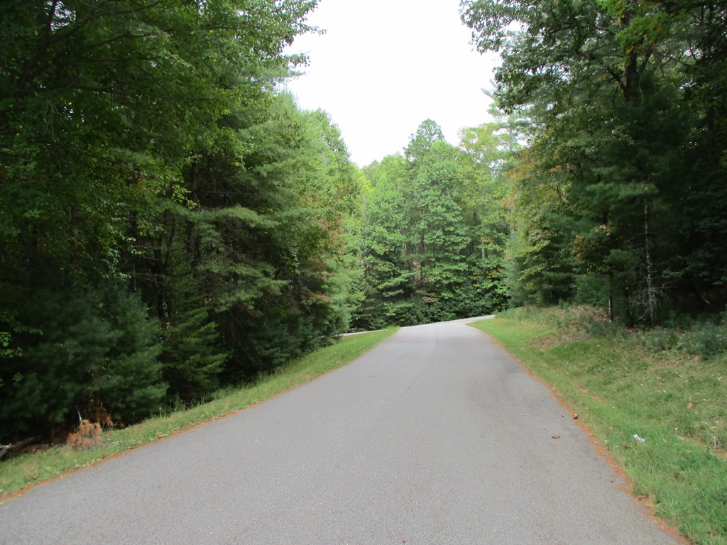 Lot 25 Byers Rd #25, BLAIRSVILLE, Georgia image 3