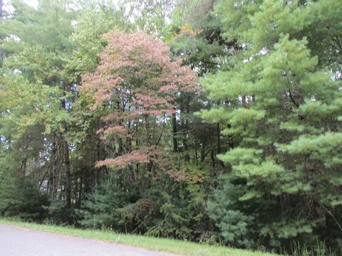 Vacant Land For Sale - LOT 25 Byers Rd #25<br/> Union County, BLAIRSVILLE, GA 30512