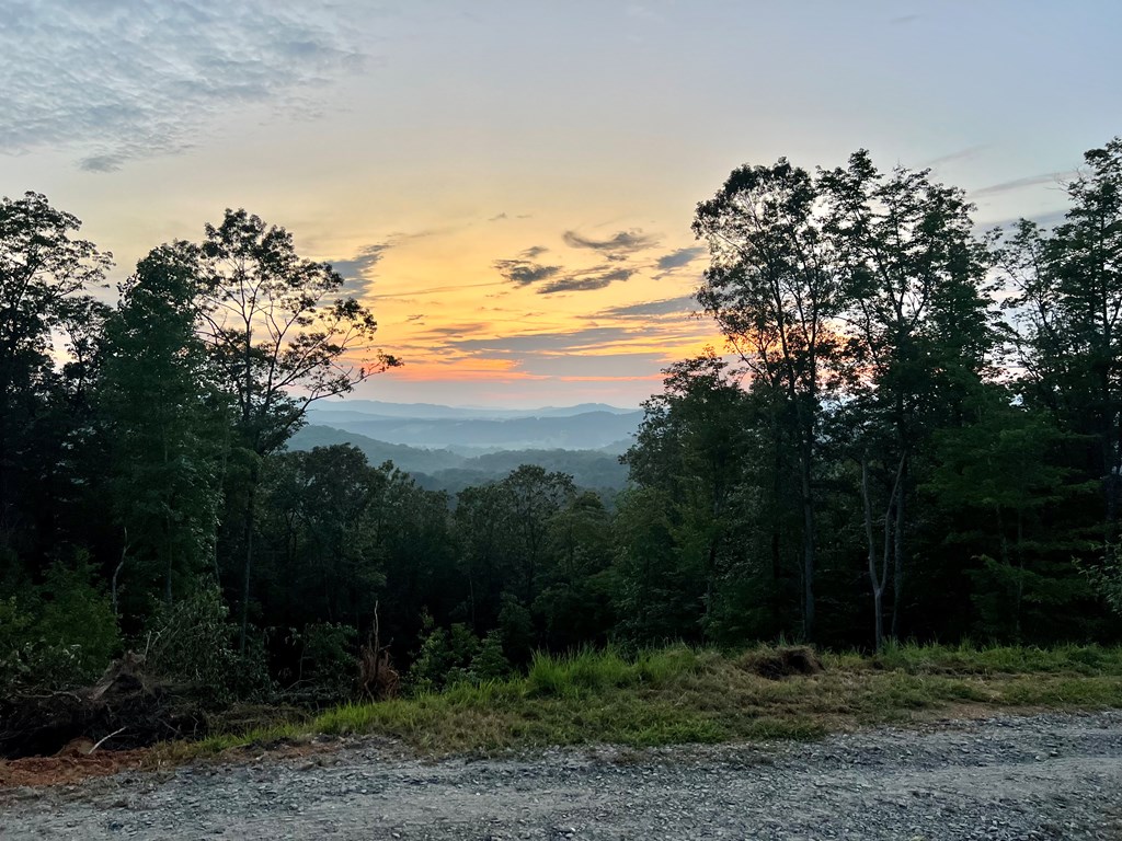 Lot 29 Grand Laurel #29, BRASSTOWN, North Carolina image 8